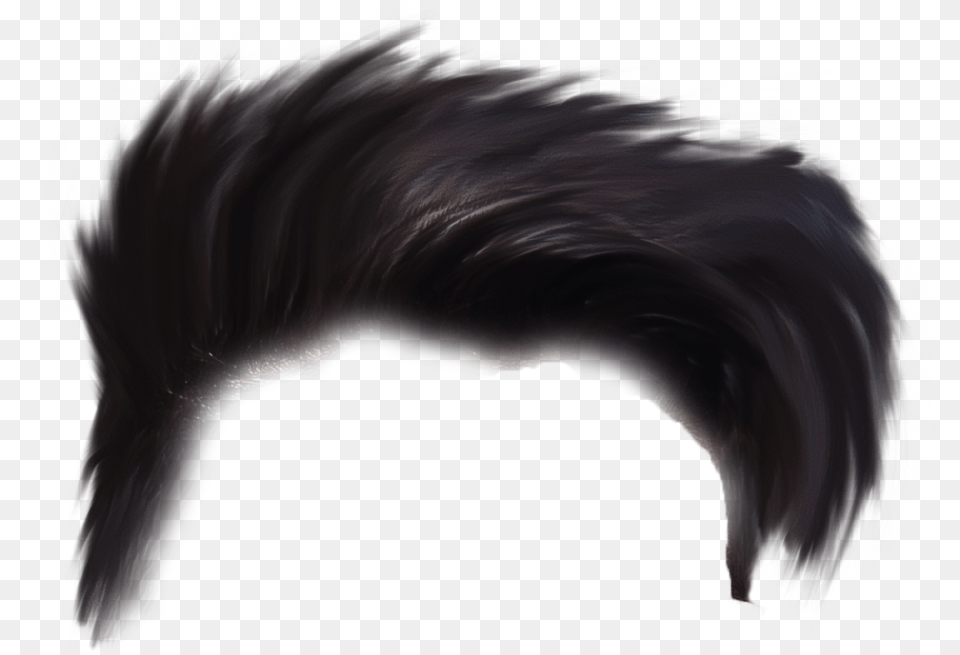 Hairs Punk Fashion, Nature, Night, Outdoors, Person Free Png