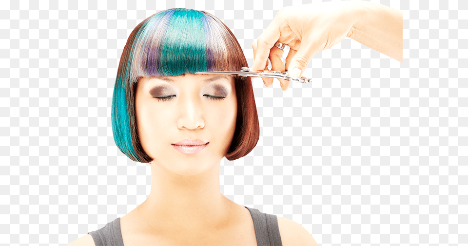 Hairstyle, Adult, Person, Woman, Female Png