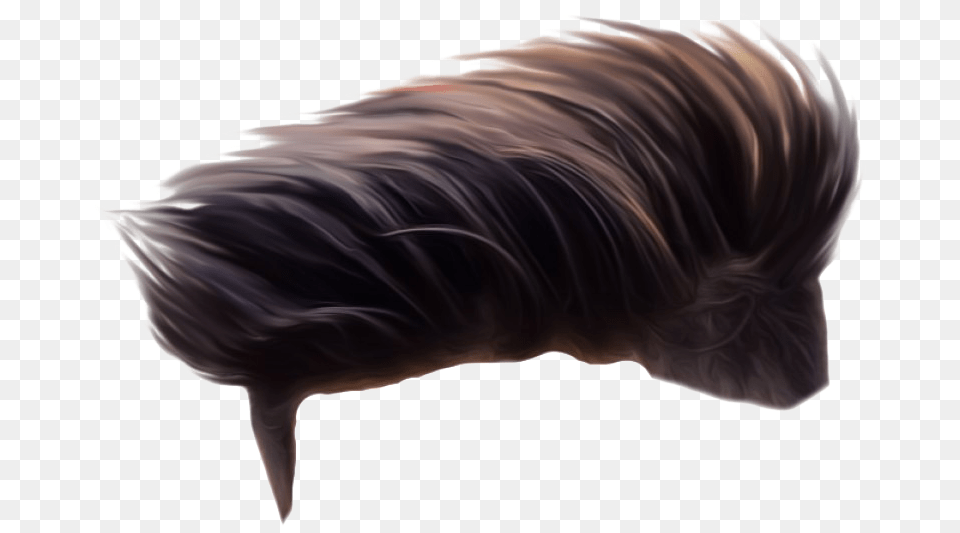 Hairstyle File Download Hair Style Men, Adult, Female, Person, Woman Png Image