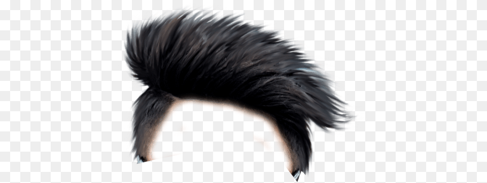 Hairstyle For Men, Adult, Male, Man, Person Free Png