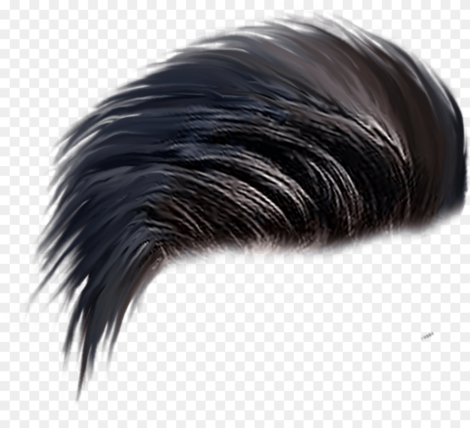 Hairstyle For Picsart, Animal, Bird Free Png Download