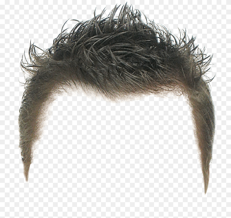 Hairstyle Image For Boy Boy Wig, Animal, Beak, Bird, Adult Png