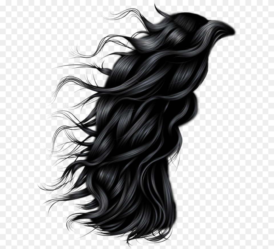 Hairstyle Photography Clip Art Long Hair Men, Adult, Female, Person, Woman Png