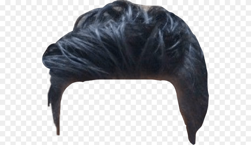 Hairstyles Men Freetoedit Furniture, Cushion, Home Decor, Person, Hair Png Image