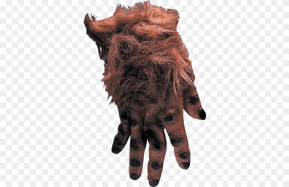 Hairy Brown Monster Hands Imagenes De La Mano Pachona, Body Part, Finger, Hand, Person Free Png Download