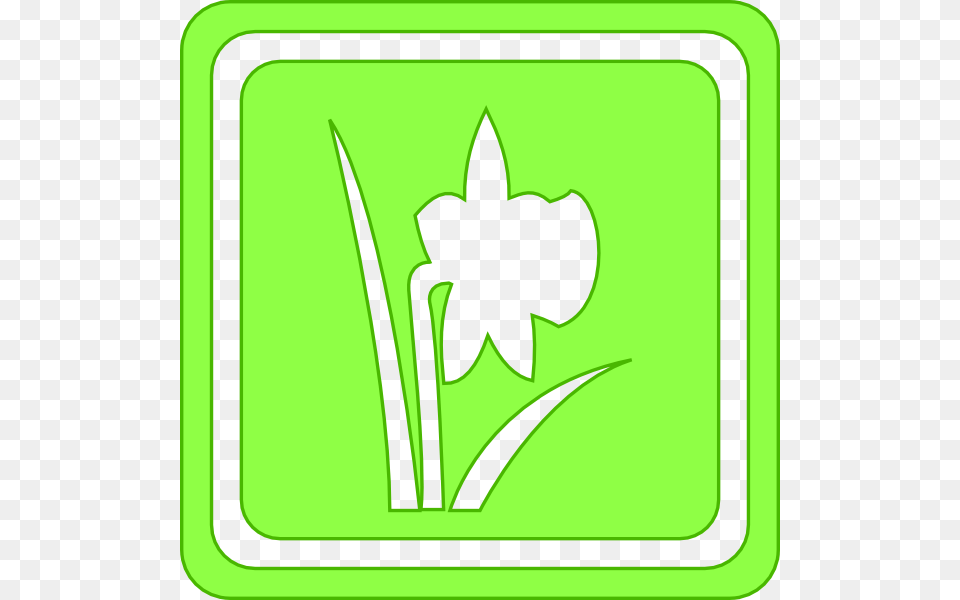 Hairymnstr Seasons Clip Art, Flower, Plant, Daffodil, White Board Free Png