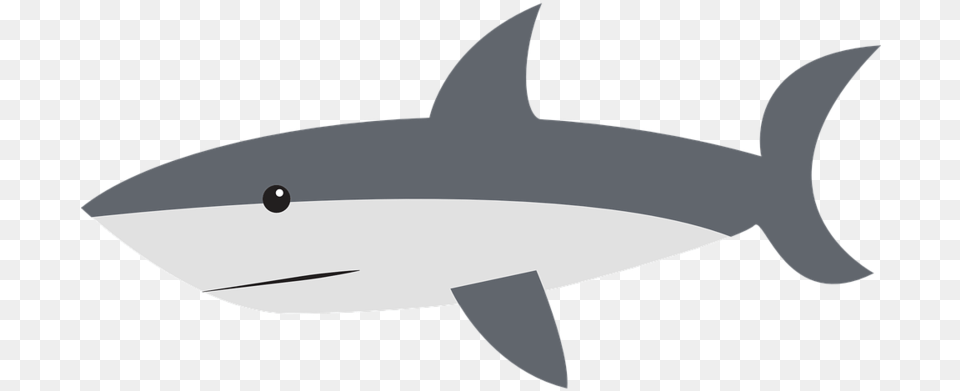 Haj Sida Simning Fin Djur Shark Clipart, Animal, Fish, Sea Life, Tuna Free Png