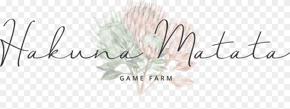 Hakuna Matata Game Farm Calligraphy, Herbal, Herbs, Leaf, Plant Free Png Download