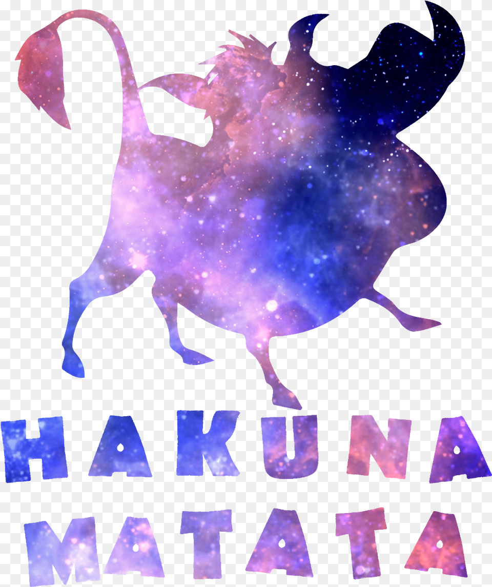 Hakuna Matata Hakuna Matata Transparent, Adult, Male, Man, Person Png