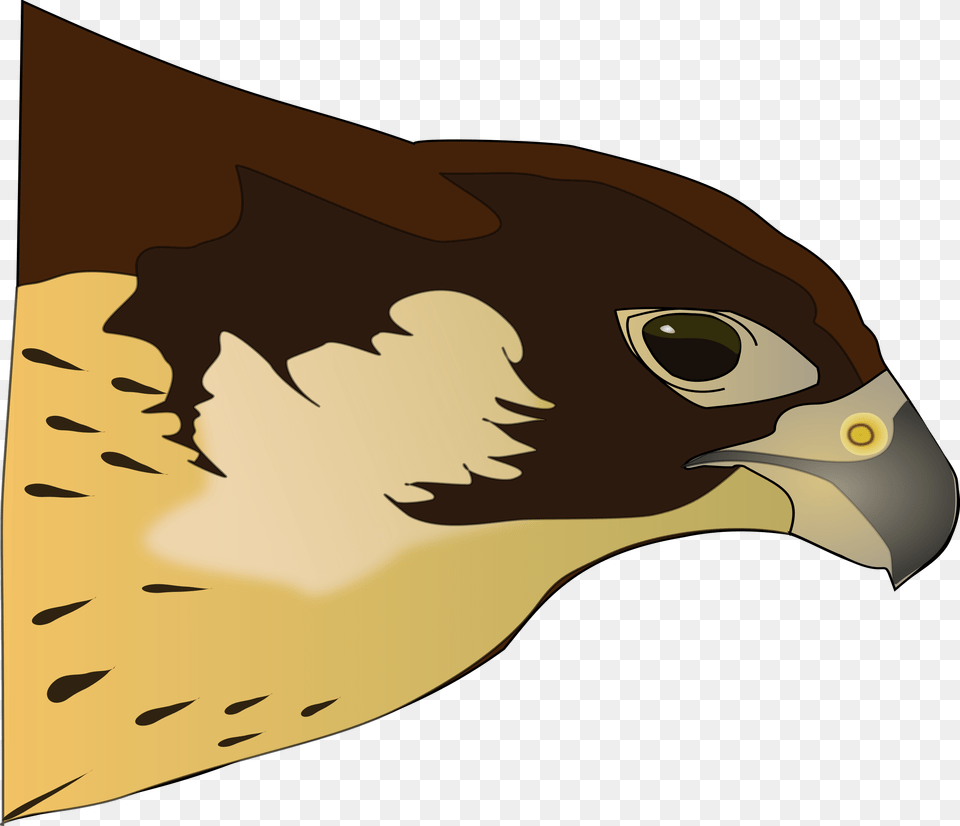 Halcn Hawk Clip Arts Clipart Hawk, Animal, Beak, Bird, Fish Png Image