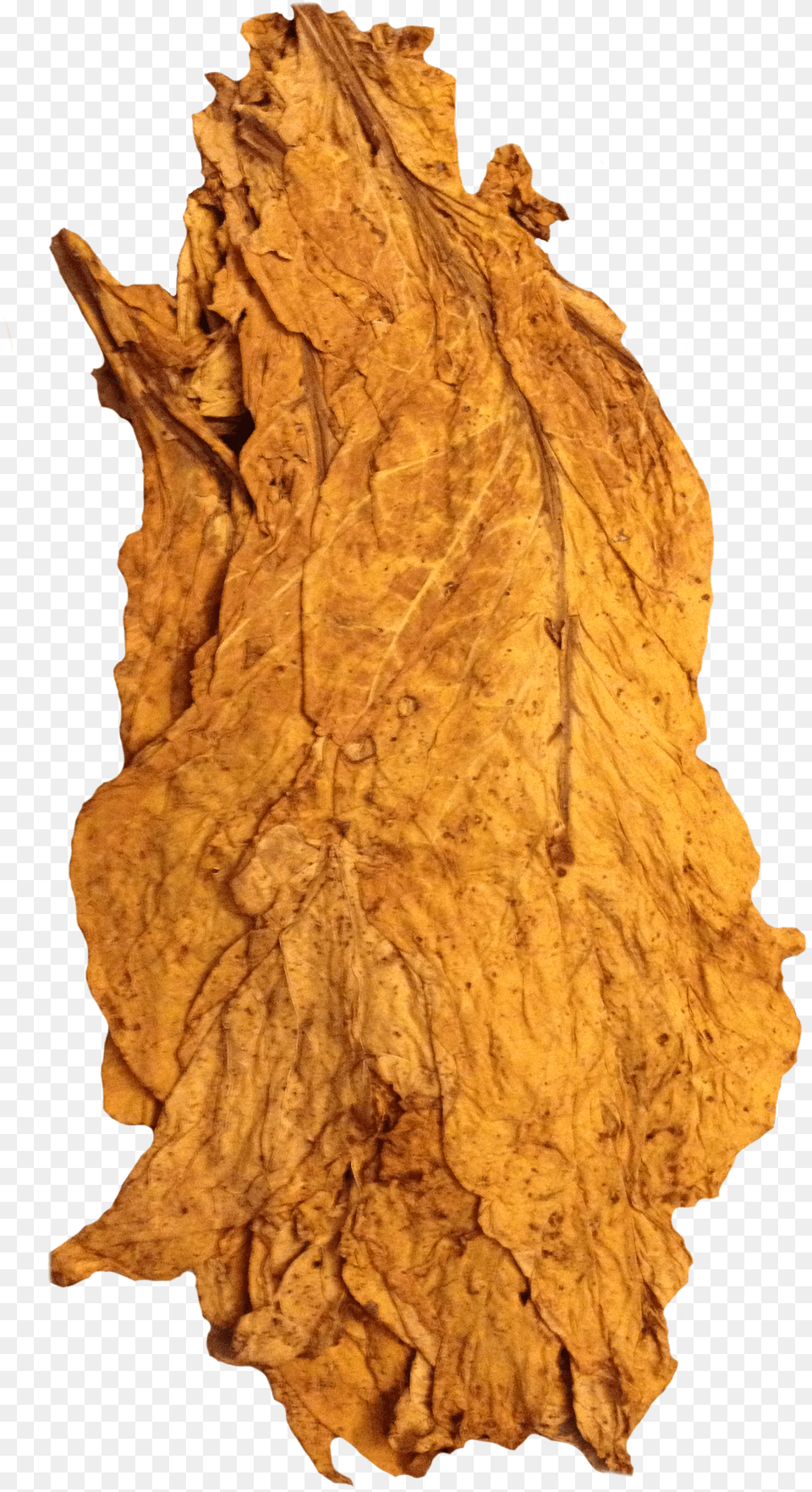 Half A Pound Of Quality Organic American Virginia Gold Tobacco Leaf Dry Free Transparent Png