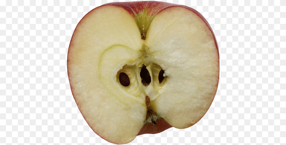 Half Apple Apple, Food, Fruit, Plant, Produce Png Image