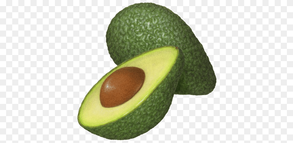 Half Avocado Clipart, Food, Fruit, Plant, Produce Free Transparent Png