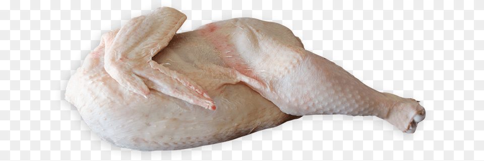 Half Barn Reared Chicken Chicken Meat, Animal, Bird, Fowl, Poultry Free Transparent Png
