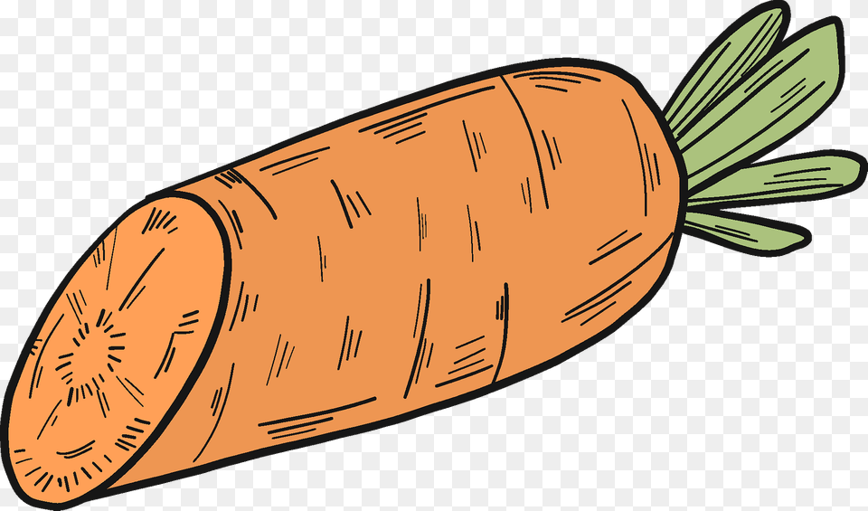 Half Carrot Clipart, Food, Plant, Produce, Vegetable Free Transparent Png