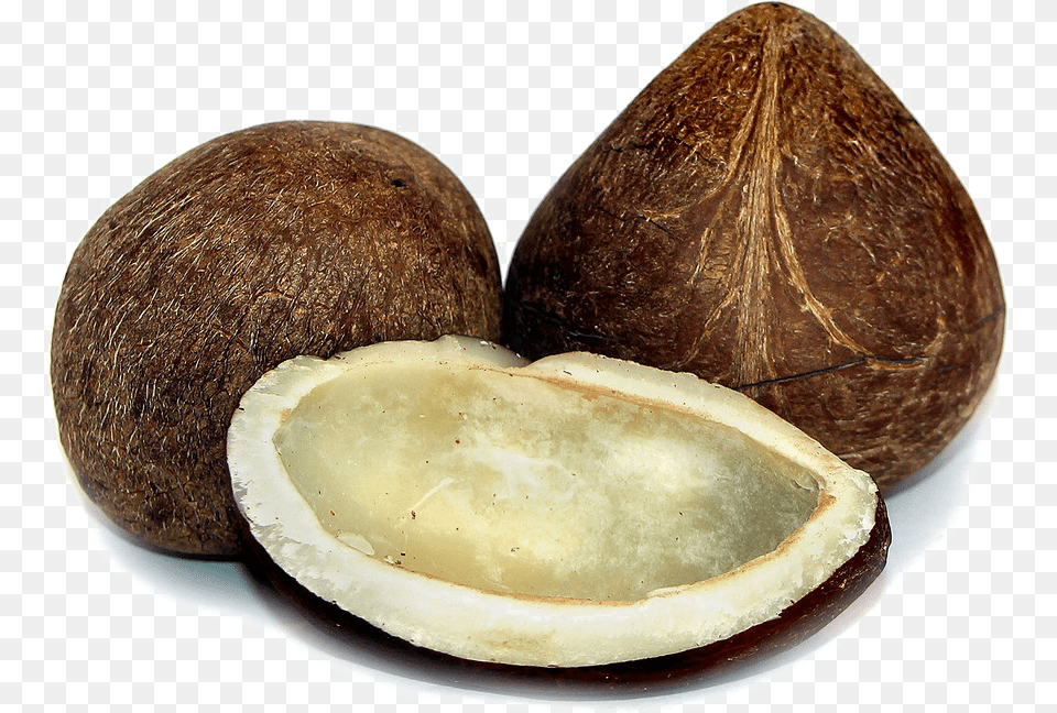 Half Coconut Photos Dry Coconut, Food, Fruit, Plant, Produce Free Png