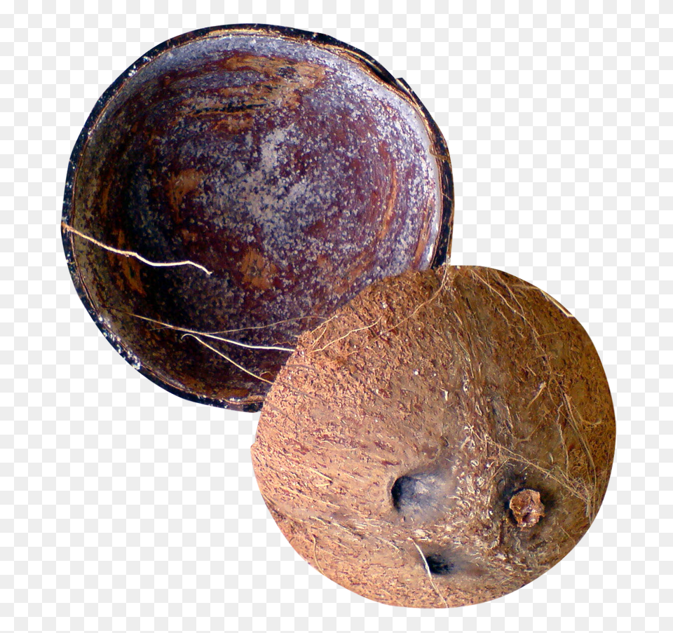 Half Coconut Picture Mart Coconut Shell, Food, Fruit, Plant, Produce Png