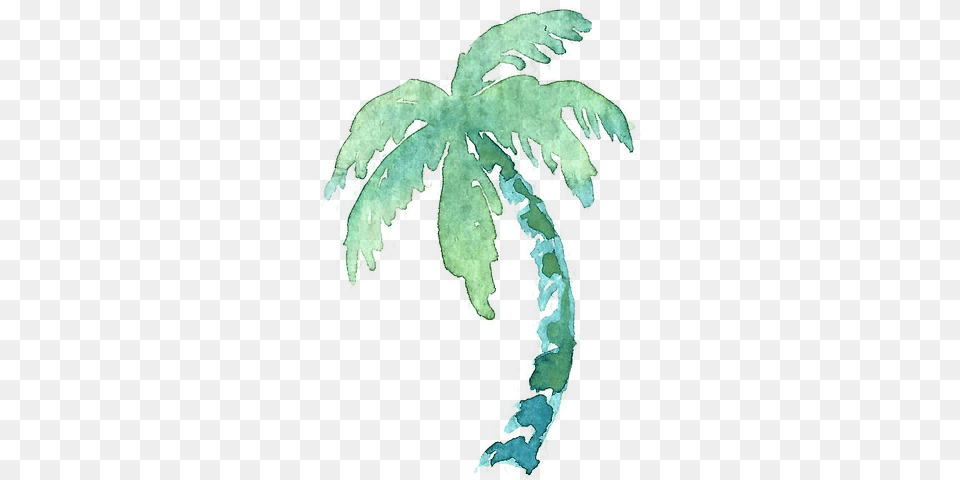 Half Day Prison Island Tour From Stonetown2017 Blue Watercolor Palm Tree Sticker, Leaf, Plant, Person Png