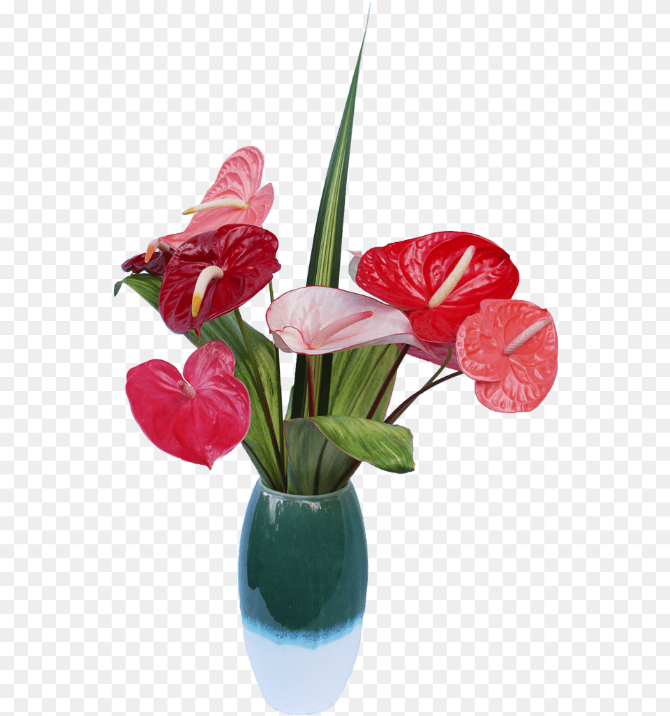 Half Dozen Anthuriums U2014 Always Artificial Flower, Flower Arrangement, Plant, Anthurium, Ikebana Png Image