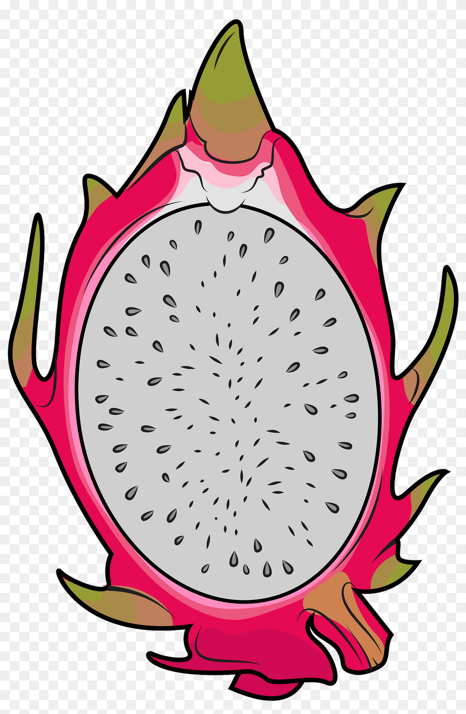 Half Dragon Fruit Clipart, Food, Plant, Produce, Flower Free Transparent Png