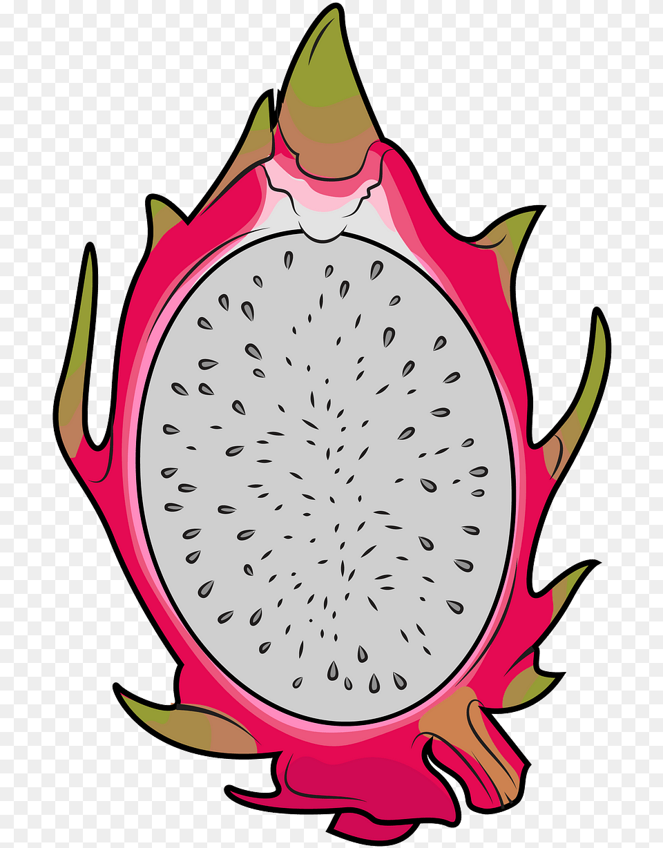 Half Dragon Fruit Clipart Free Download Creazilla Dragon Fruit Slices Transparent, Food, Plant, Produce, Person Png Image