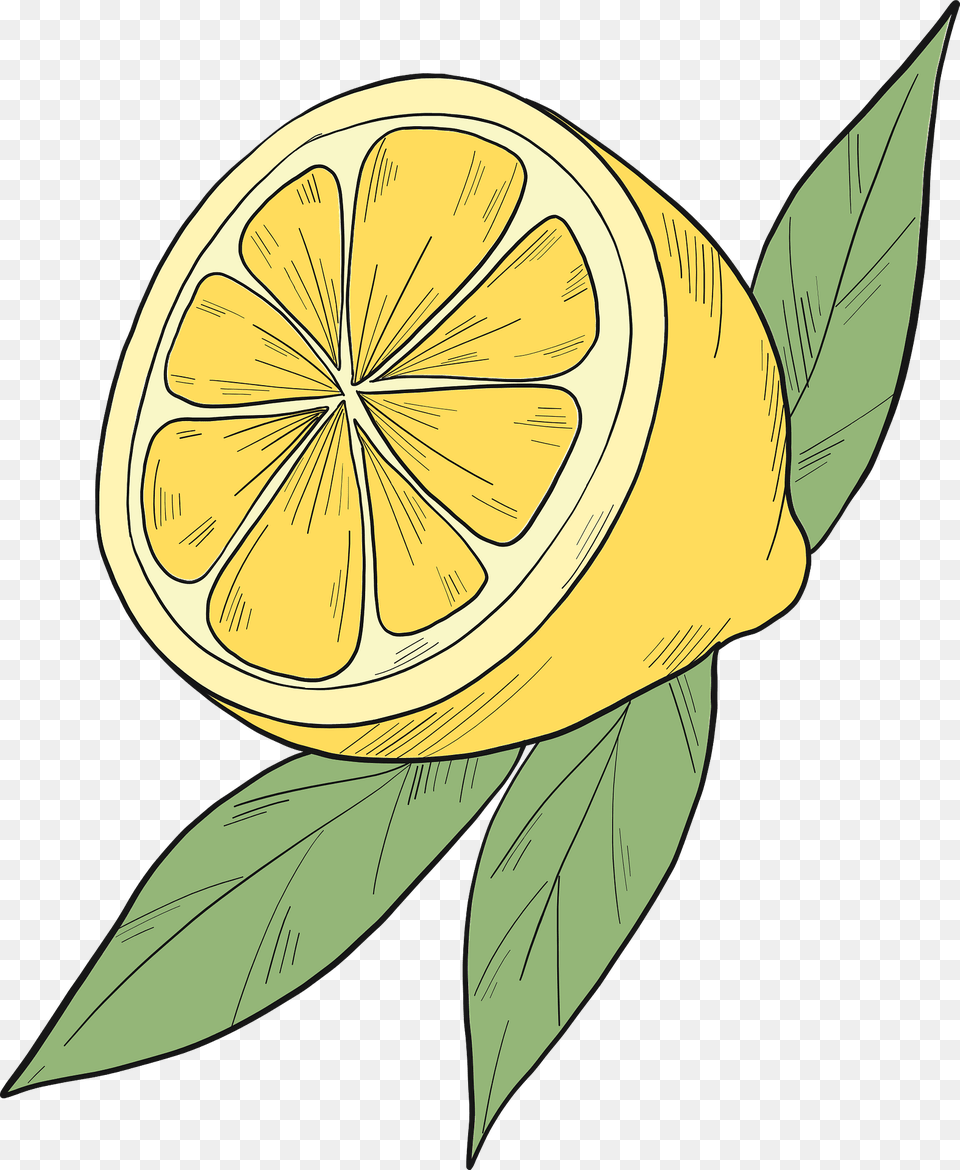 Half Lemon Clipart, Citrus Fruit, Food, Fruit, Produce Png Image