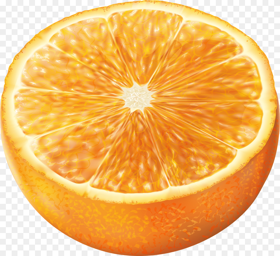 Half Orange Fruit Lime Slice Pnglogocoloring Mandarin Klipart Free Transparent Png