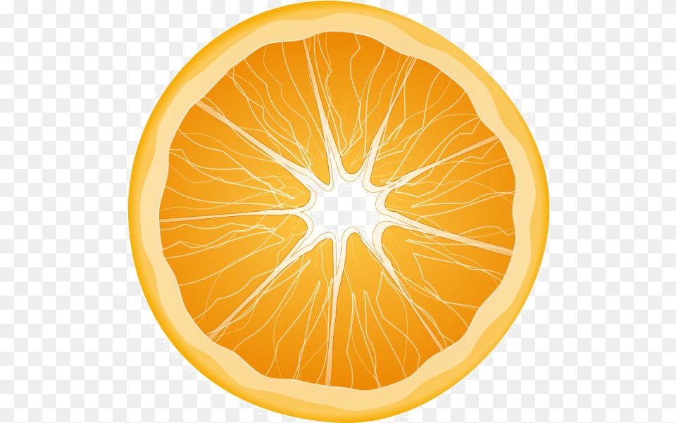 Half Orange Transparent Background Orange Slice, Citrus Fruit, Food, Fruit, Grapefruit Free Png Download