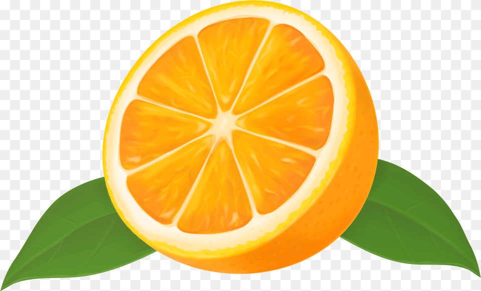 Half Orange Transparent Clip Art Gallery Orange Clipart Free Png