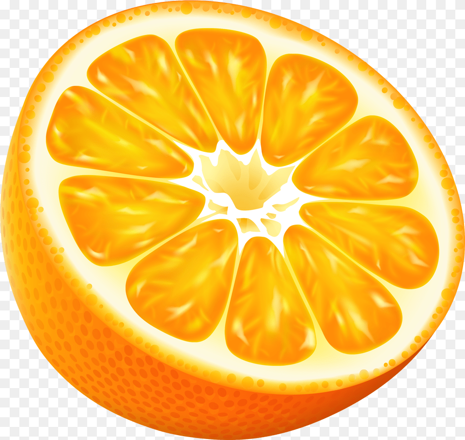 Half Orange Vector, Citrus Fruit, Food, Fruit, Grapefruit Free Transparent Png