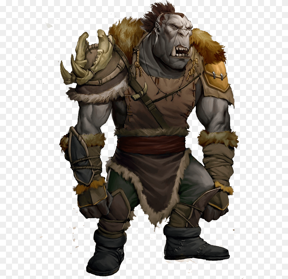 Half Orc Maul Paladin, Adult, Male, Man, Person Free Transparent Png