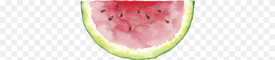 Half Painting Drawing Painter Easy Watercolor Watermelon Painting, Food, Fruit, Plant, Produce Free Transparent Png