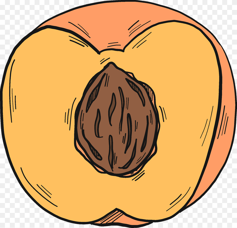 Half Peach With A Stone Clipart, Food, Fruit, Plant, Produce Free Png Download
