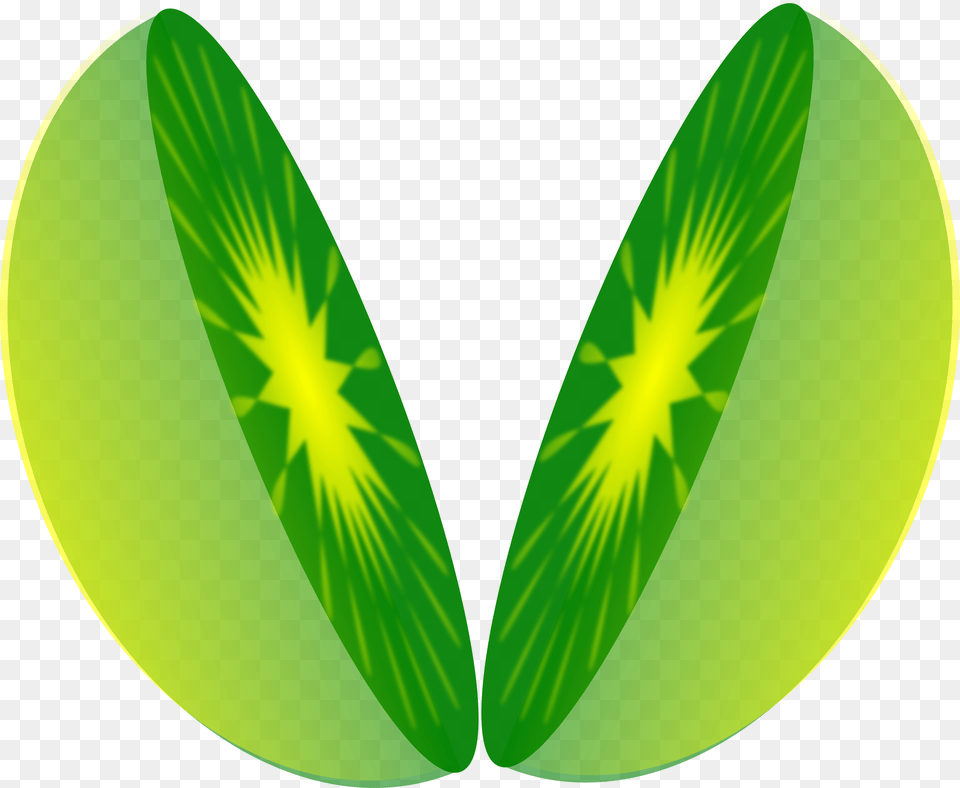 Half Sun Vector Download One Half Fraction Clipart, Green, Leaf, Plant, Astronomy Png Image