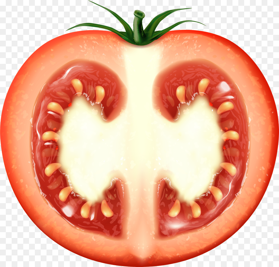 Half Tomato Clip Art Image Free Transparent Png