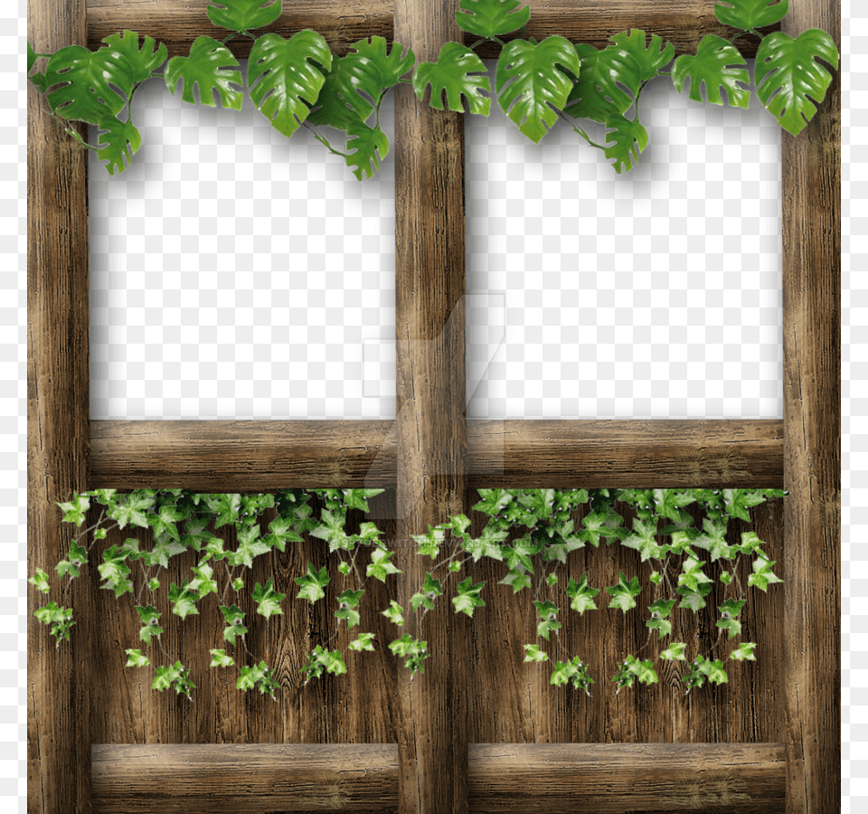 Half Wall With Top Frame Vine And Ivy By Spyderwitch Window, Plant, Leaf Free Png Download