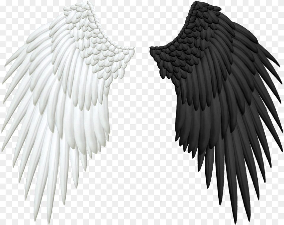 Half Wings Transparent Black And White Angel Wings, Animal, Bird, Vulture, Eagle Png Image