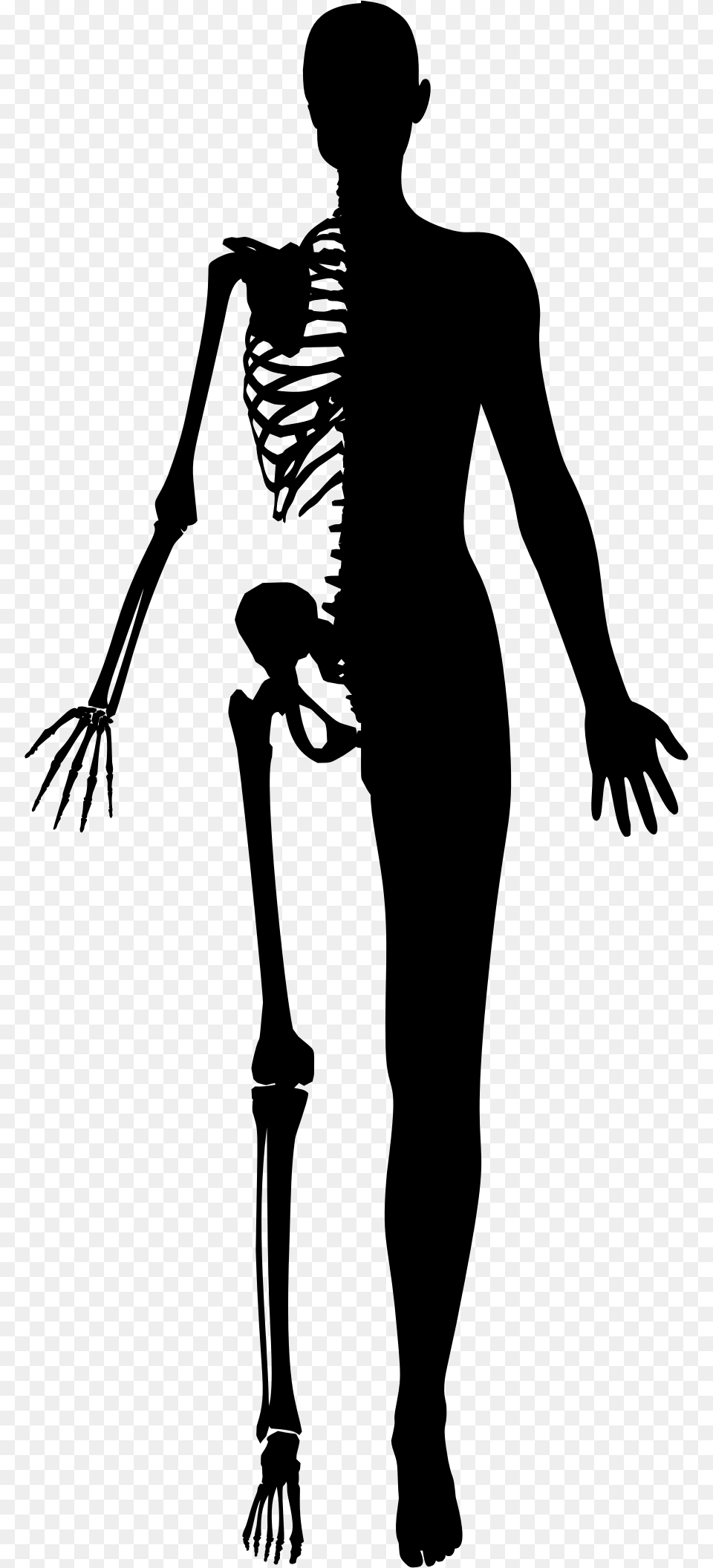 Half Woman Half Skeleton Silhouette Clip Arts Half Human Half Skeleton, Gray Png Image
