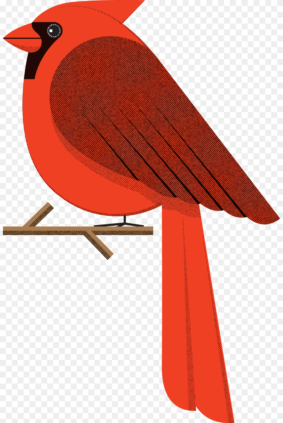 Halftone, Animal, Bird, Cardinal Free Transparent Png