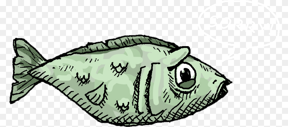 Halibut, Animal, Fish, Sea Life, Tuna Free Transparent Png