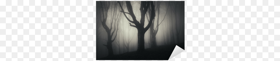 Halloween, Fog, Nature, Outdoors, Plant Free Png Download
