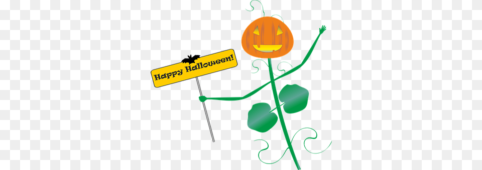 Halloween Flower, Plant, Food, Sweets Png Image