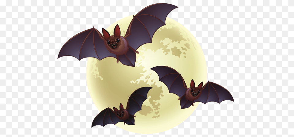 Halloween, Animal, Mammal, Wildlife, Bat Free Png Download