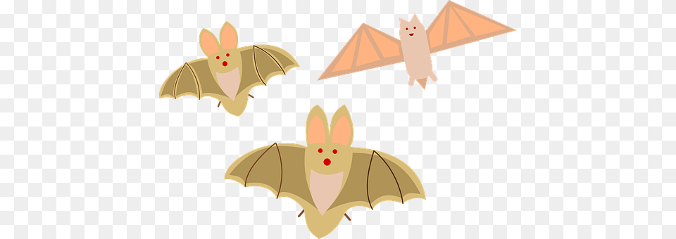 Halloween Animal, Mammal, Wildlife, Bat Free Png