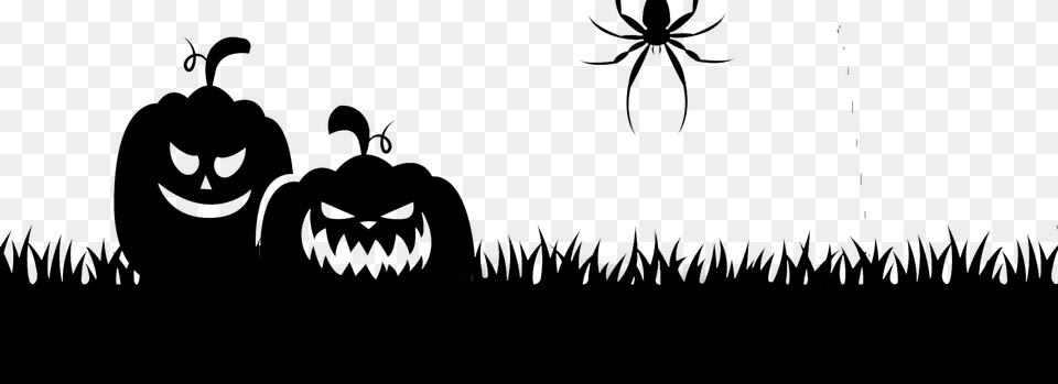 Halloween, Animal, Invertebrate, Spider Png