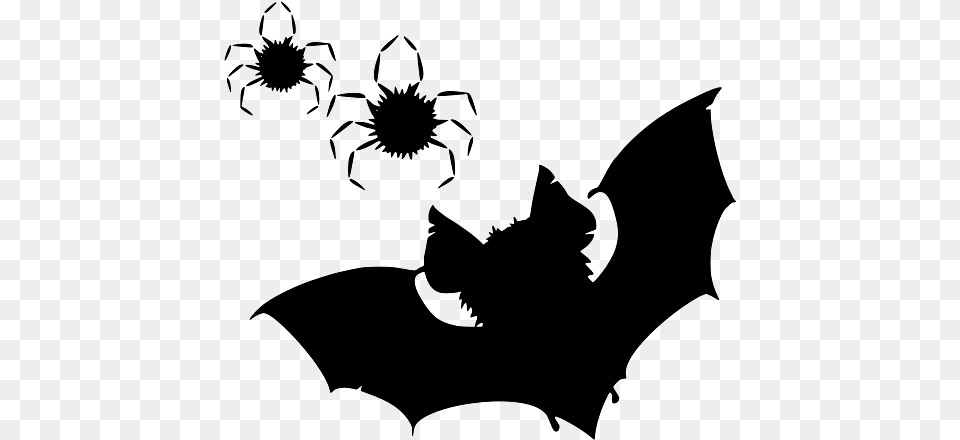 Halloween Bat And Spiders, Animal, Cat, Mammal, Pet Free Png Download