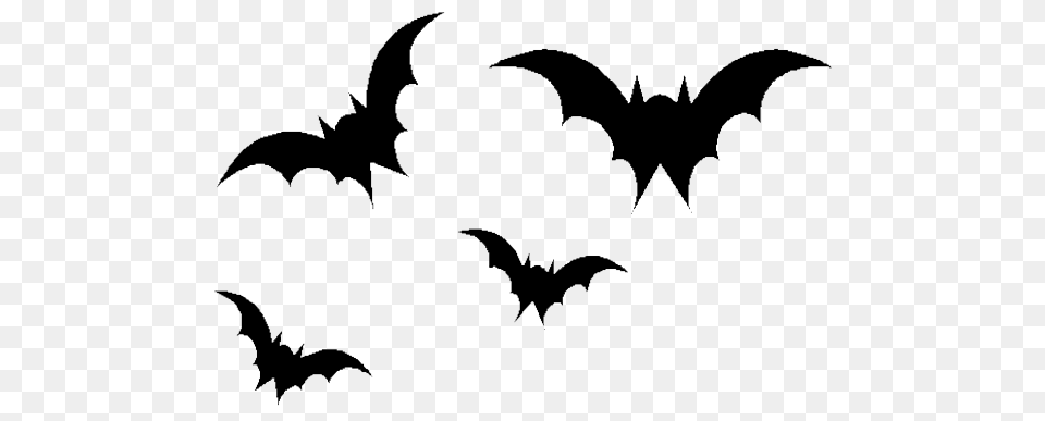 Halloween Bat Download, Logo, Animal, Bird, Symbol Png Image