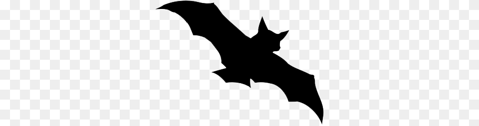 Halloween Bat Image, Silhouette, Logo, Animal, Fish Png