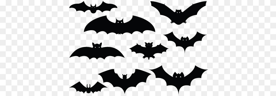 Halloween Bat Image Clipart Halloween Silhouette Vector, Animal, Mammal Free Png Download