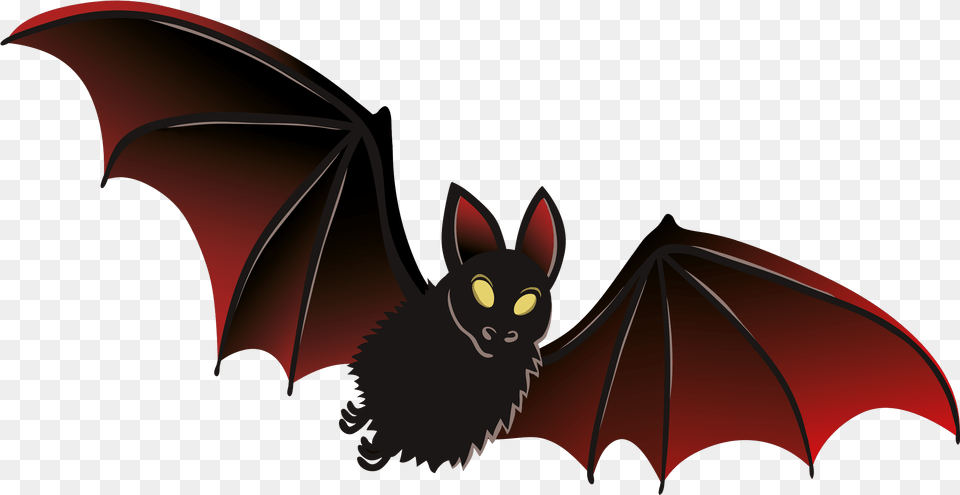 Halloween Bat Photo, Animal, Mammal, Wildlife Free Png